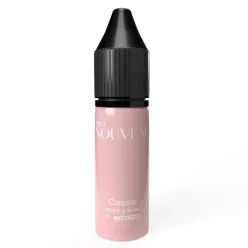 Pro Nouveau PMU pigment - Cassie 15 ml
